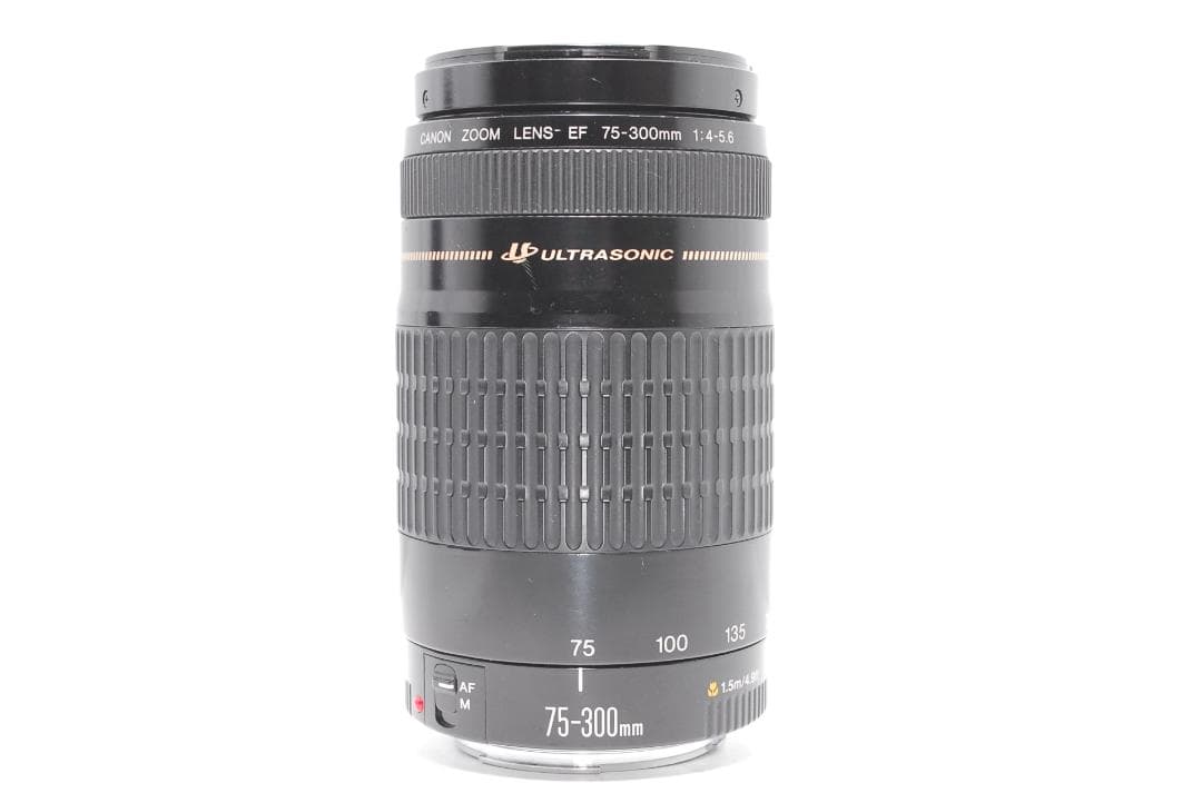 【作例あり】Canon EF 75-300mm 動作良好 軽量で扱いやすい