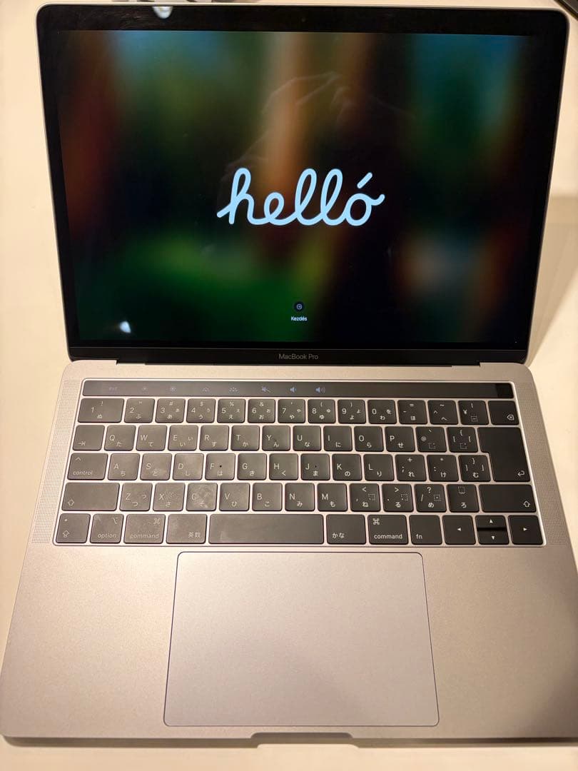 13インチMacBook Pro - スペースグレイ【1TB SSDストレージ】