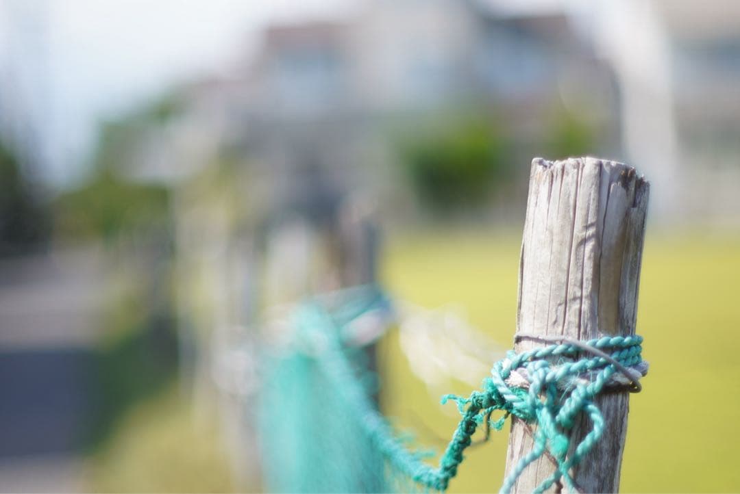 レンズ(単焦点) Ai NIKKOR 50mm F1.2S Nikon