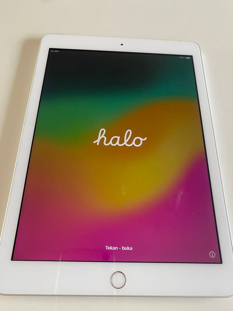 iPad本体 iPad Wi-Fi cellular 128GB silver