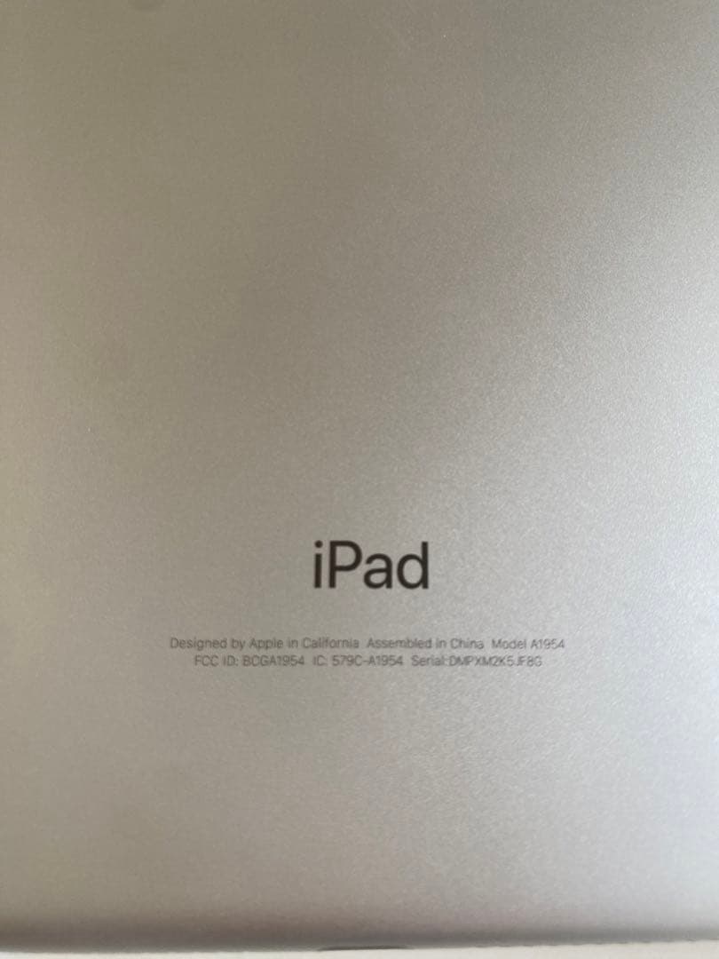 iPad本体 iPad Wi-Fi cellular 128GB silver