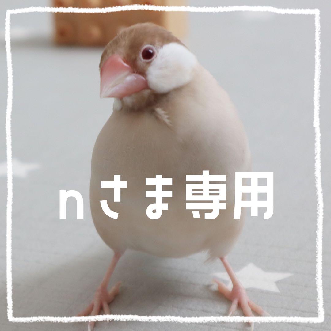 【n①】ことりのおおきなあそびば