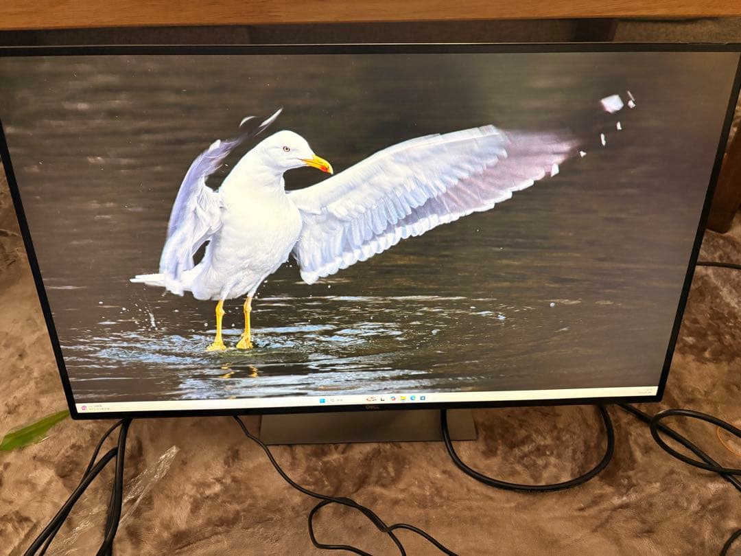 DELL 4Kモニター U2720QM 訳あり