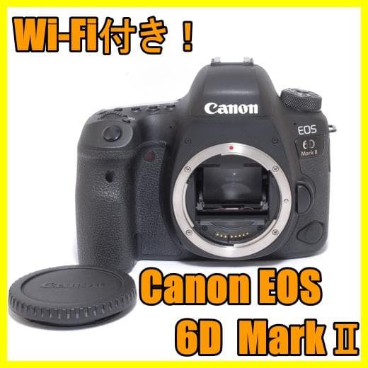 ✨美品　Wi-Fi通信機能付き！ Canon EOS 6D mark II