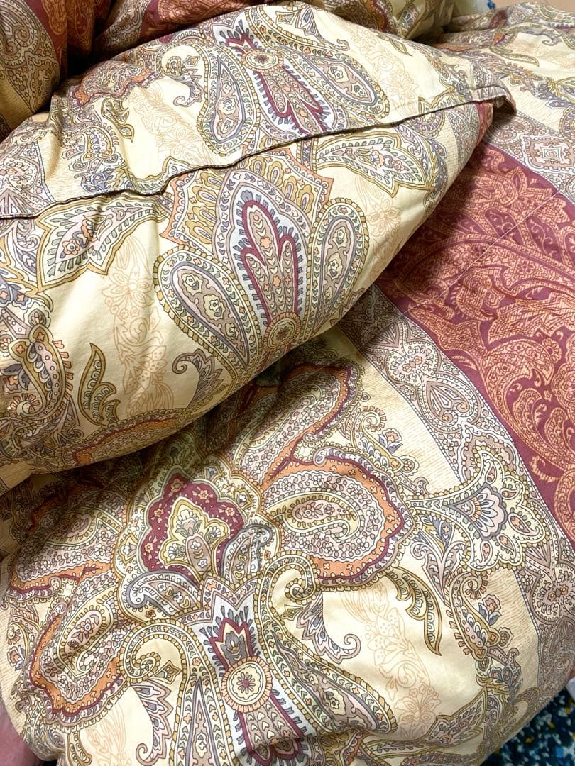 ペイズリー柄 二層式高級羽毛掛け布団 190×210cm ダブル1.7kg