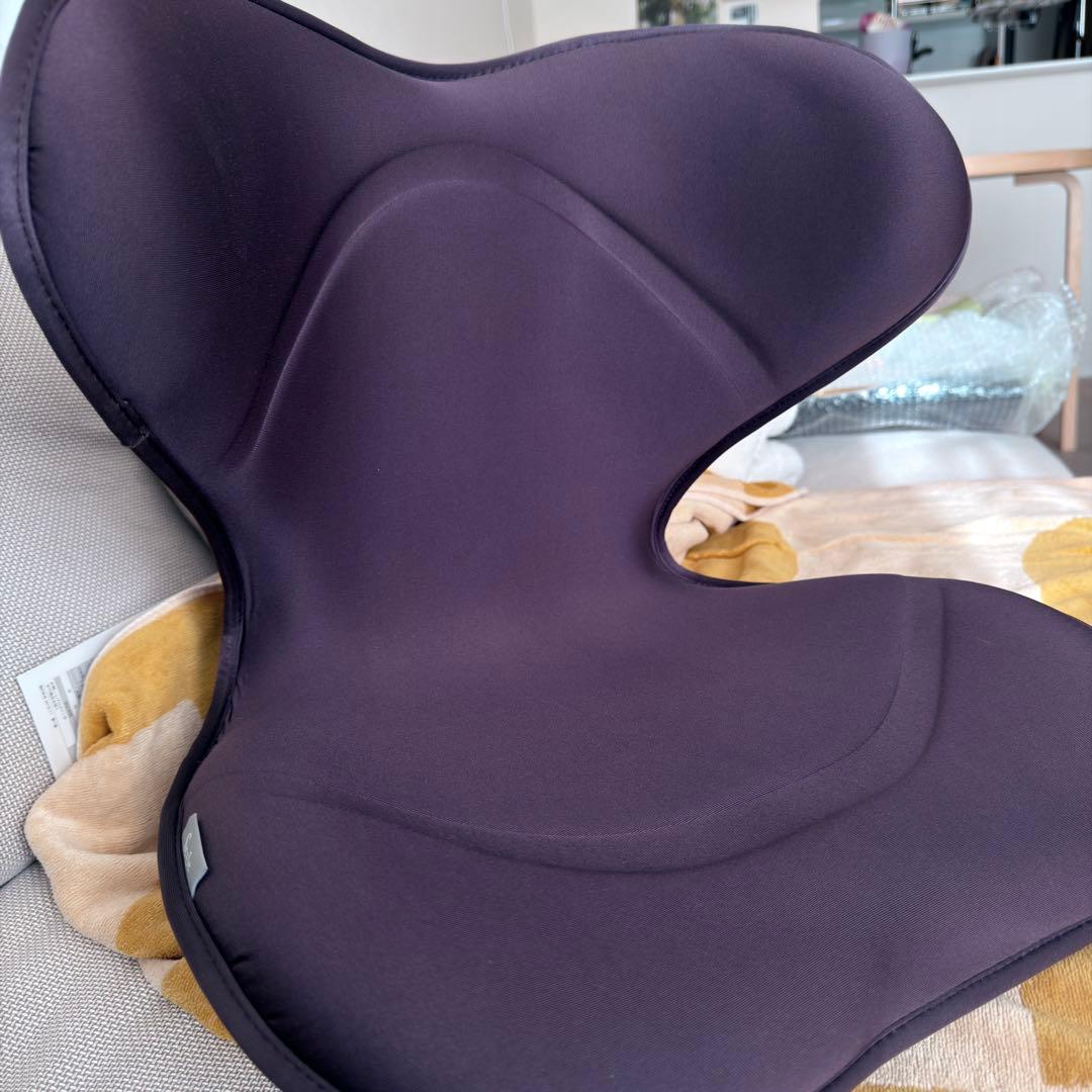 MTG スタイルスマート StyleSMART 骨盤サポートチェア