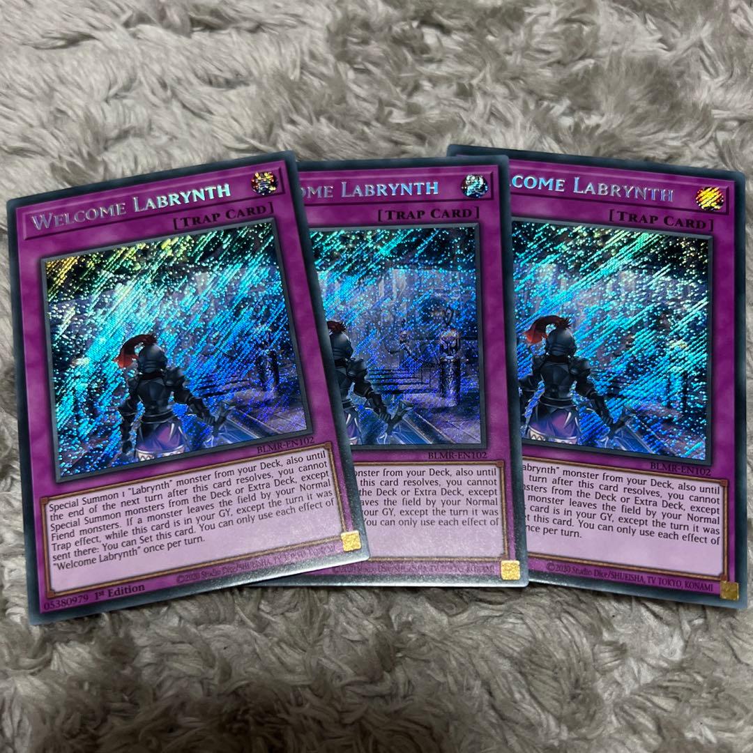 ウェルカム・ラビュリンス  ×3  BLMRシク