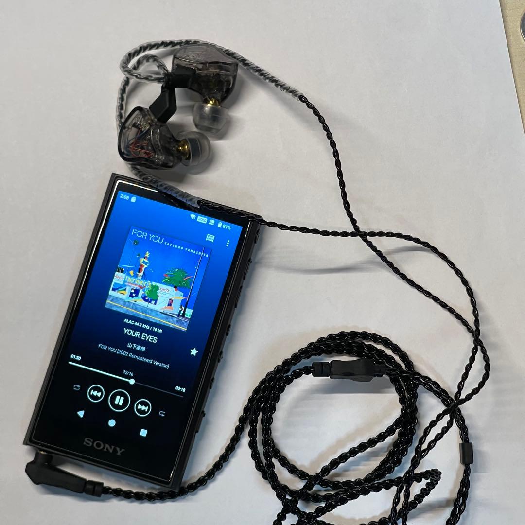 ウォークマンNW-A306 本体のみ