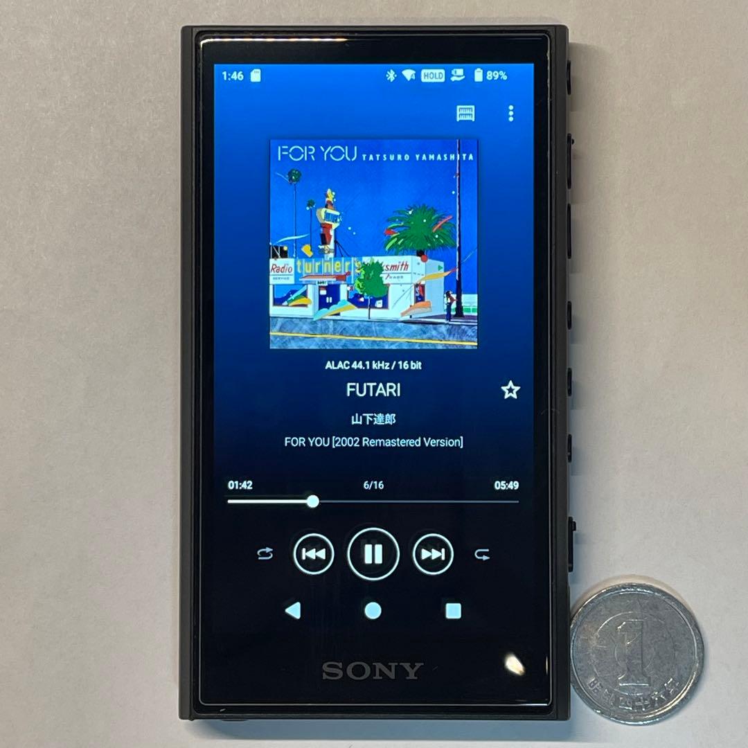 ウォークマンNW-A306 本体のみ