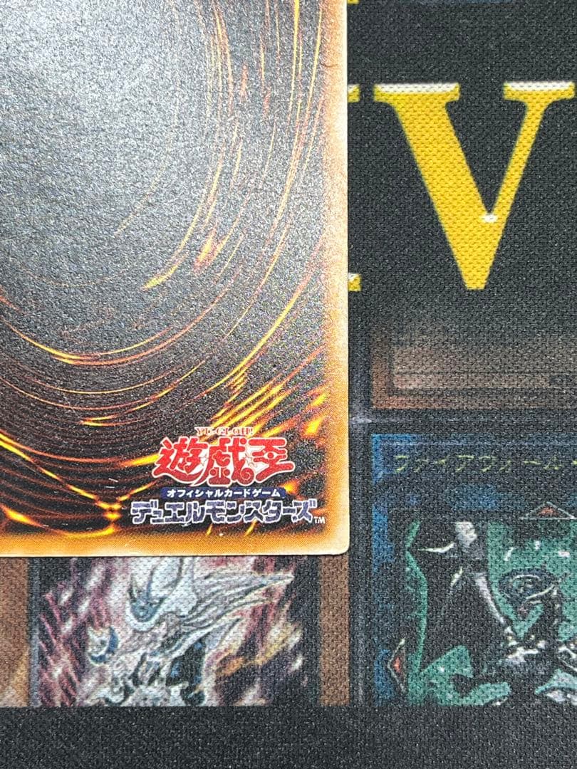 で*い様 遊戯王　ダークネクロフィア レリーフ　LN-14　②