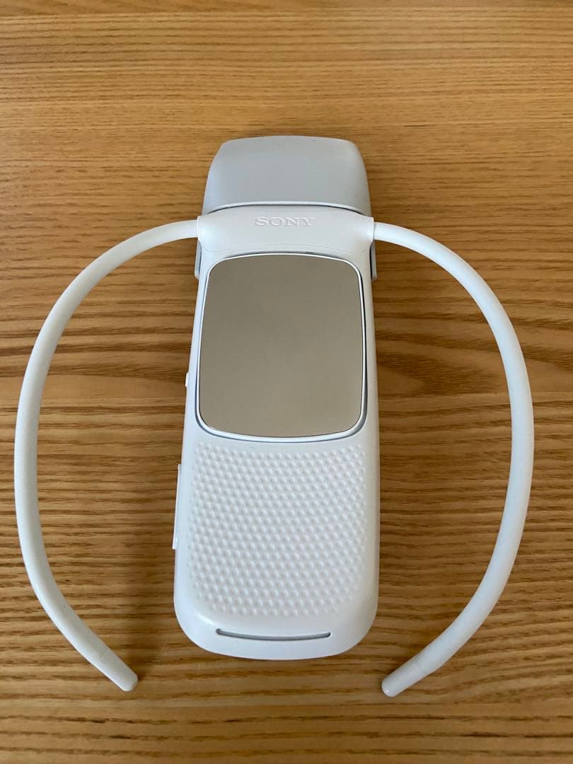 ソニー SONY REON POCKET 5 レオンポケット5