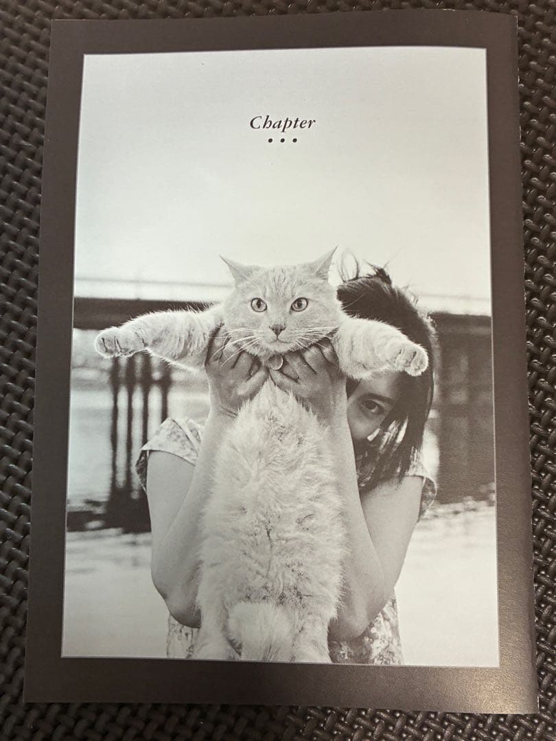 東京日和('97フジテレビジョン/バーニングプロダクション)