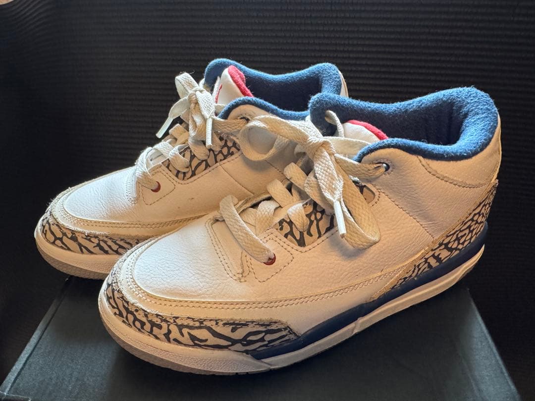 tataNike Air Jordan3 キッズサイズ21cm送料込み