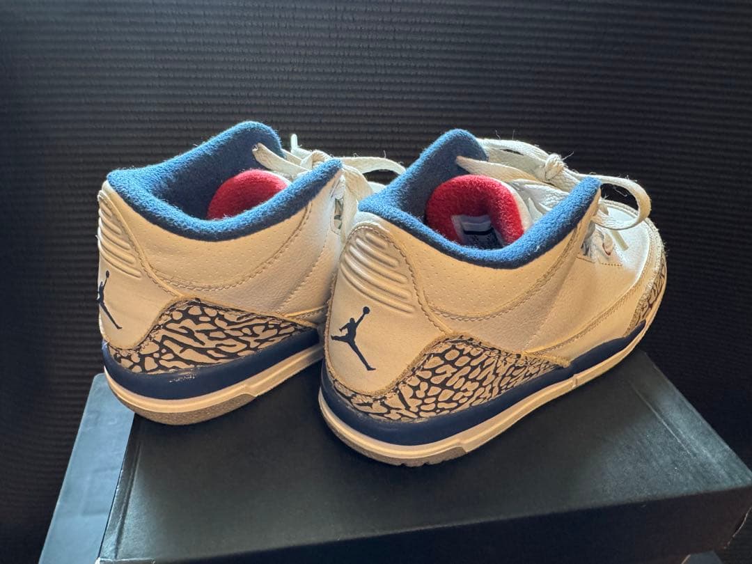 tataNike Air Jordan3 キッズサイズ21cm送料込み