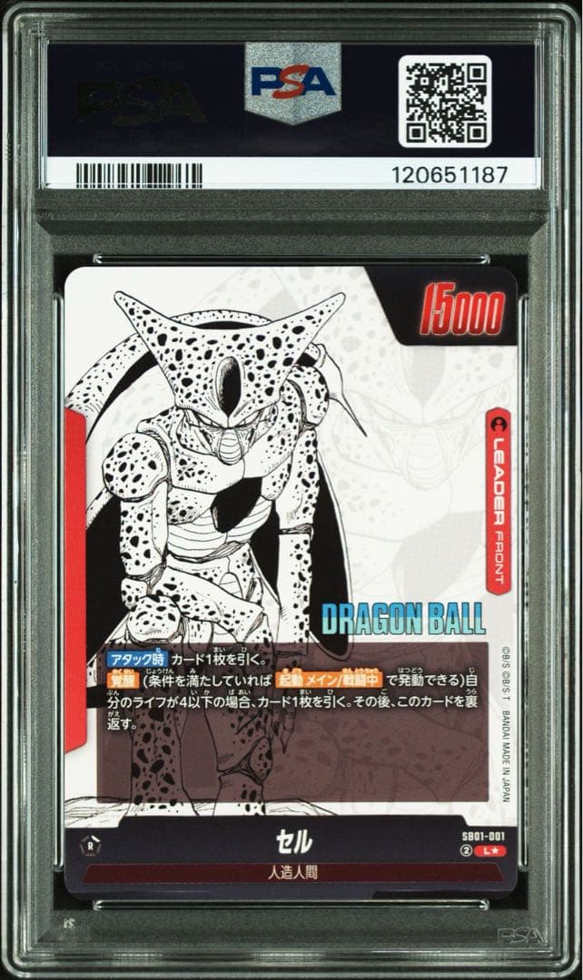 PSA10セル 1187