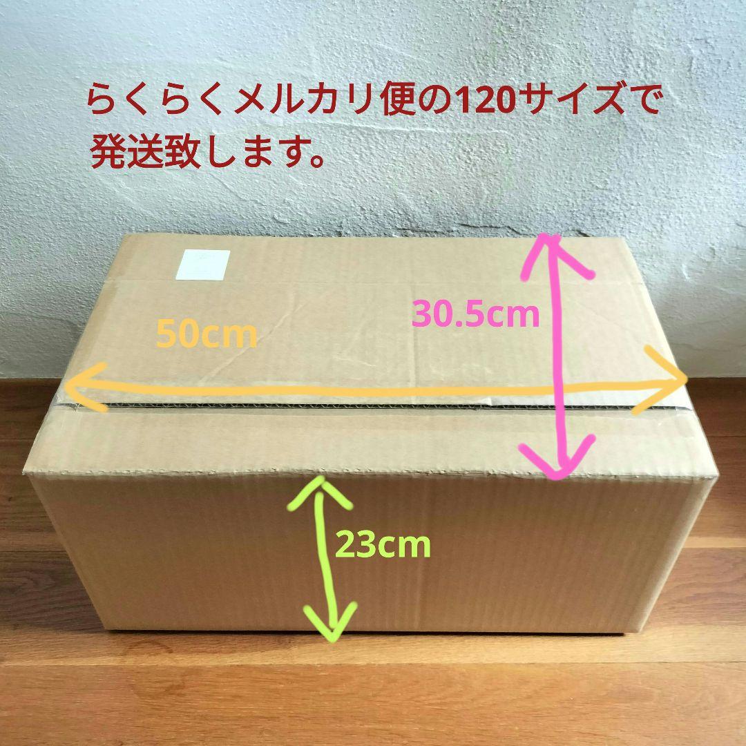 【美品✨】BRUNO ブルーノ ムーミンコンパクトホットプレート 別売 深鍋付