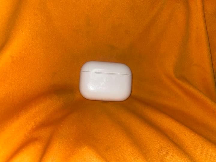Apple AirPods pro ケースのみ