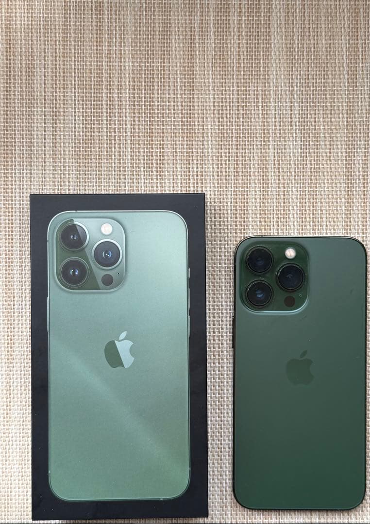 Apple iPhone 13 Pro アルパイングリーン 本体　ケース付き