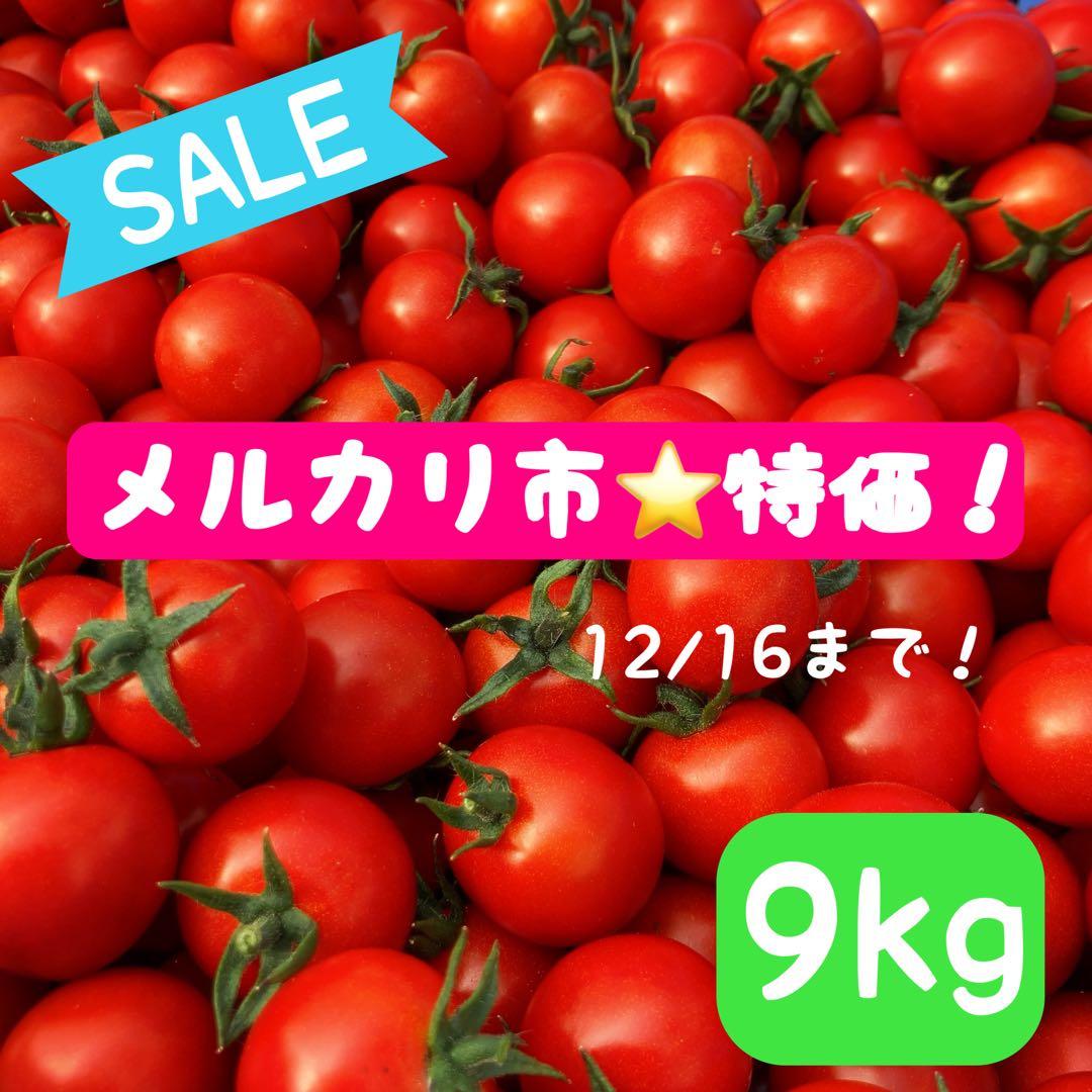 ⭐️SALE⭐️ミニトマト　9kg