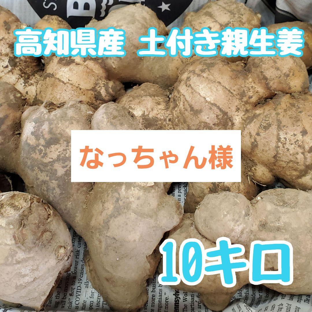 なっちゃん様 土付き親生姜10kg