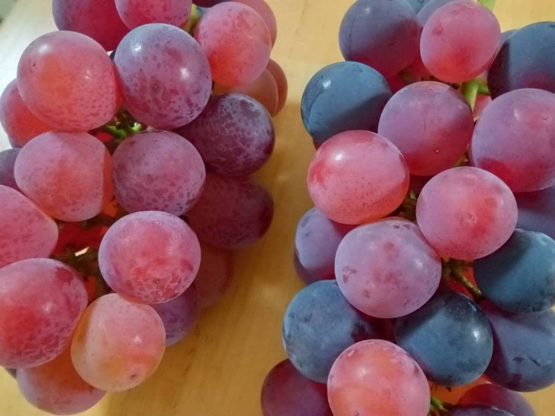 加工用 ぶどう 高妻 ピオーネ 粒 6kg 6キロ