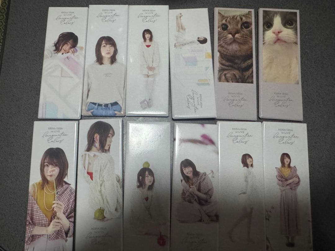 上田麗奈　1stliveグッズ　缶バッジ12種(シク含む)フルコンプセット