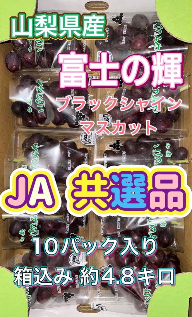 山梨県産ぶどう富士の輝ブラックシャインマスカット10パック入り箱込み約4.8キロ