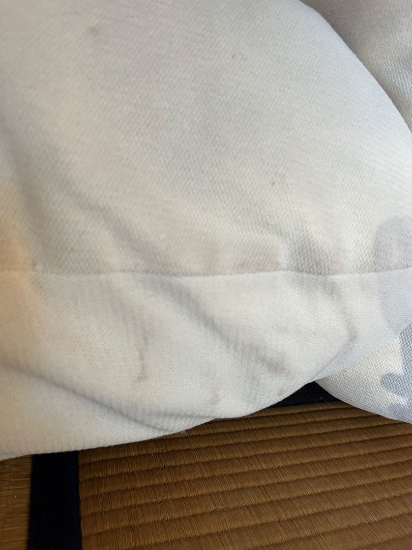 五郎　アルフレックスマレンコ