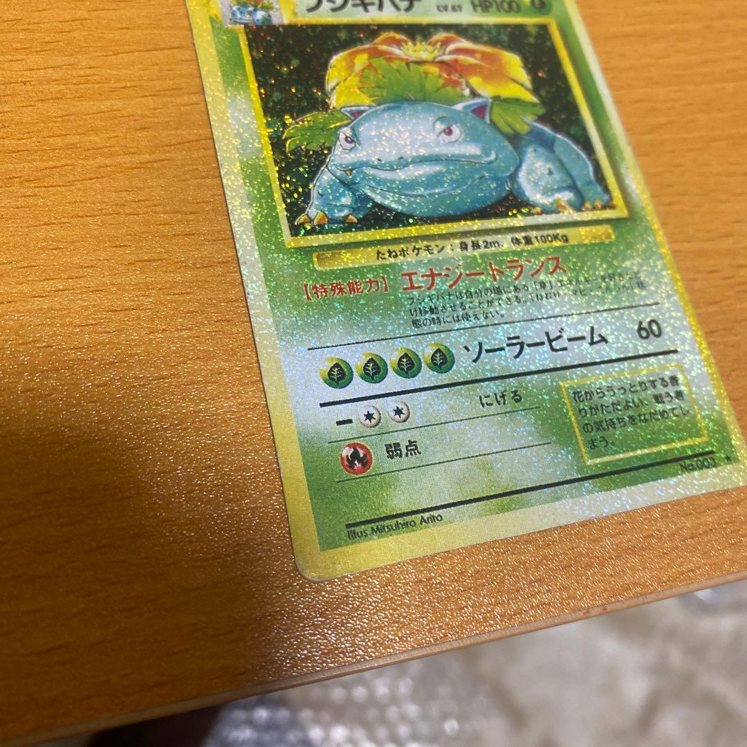 旧裏 フシギバナ エラーカード 　全面ホロ／裏面色抜け