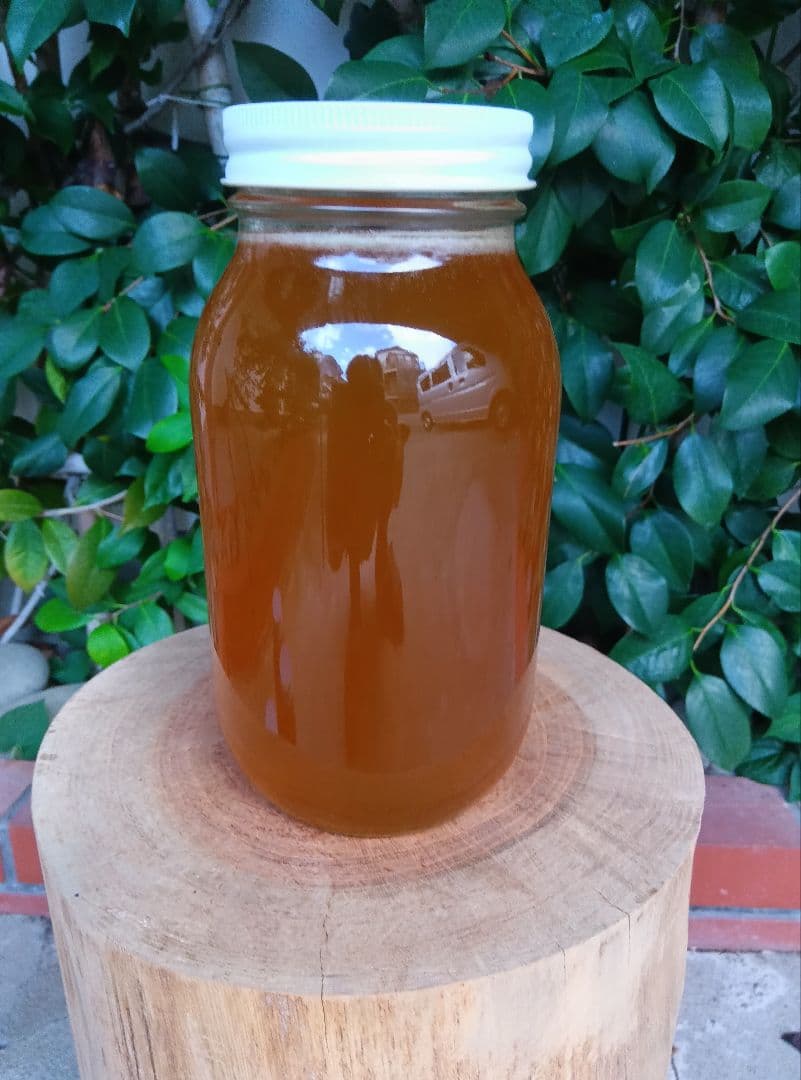 南国土佐の百花蜜 　ニホンミツバチ蜂蜜100% 非加熱　無加工　無添加