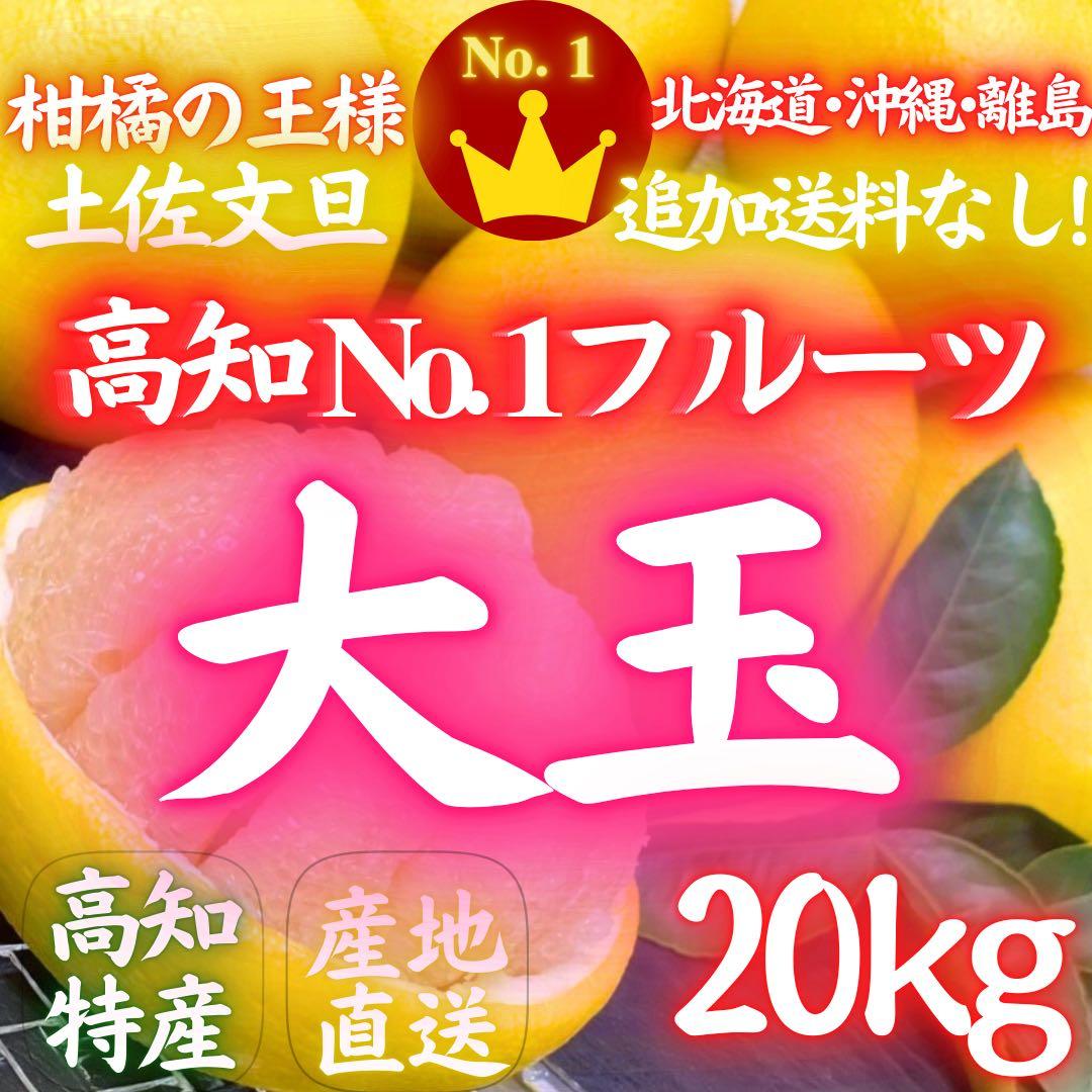 52高知特産 露地栽培 土佐文旦 3L4L文旦 約20kg 大玉 サイズ
