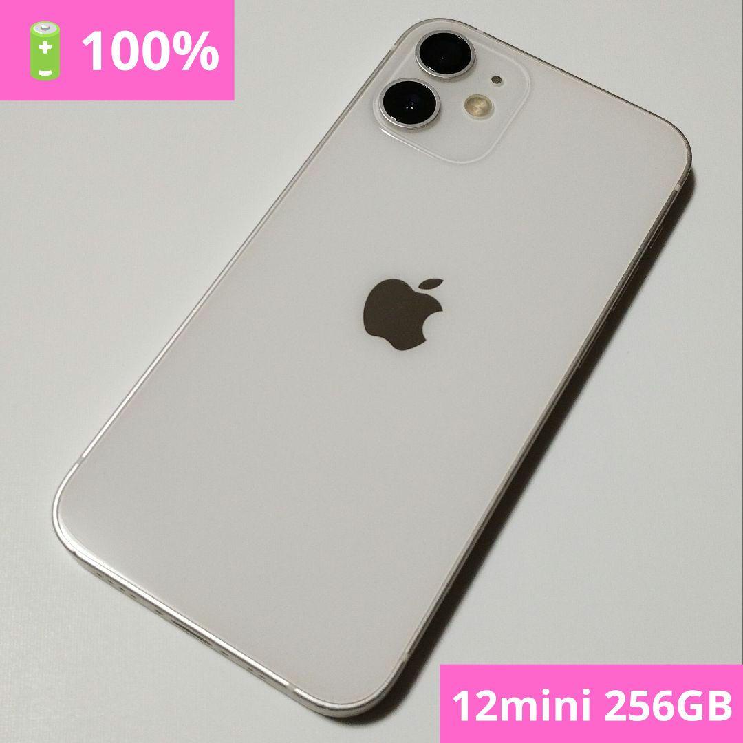 【バッテリー100%】iPhone12 mini 256GB SIMフリー国内版