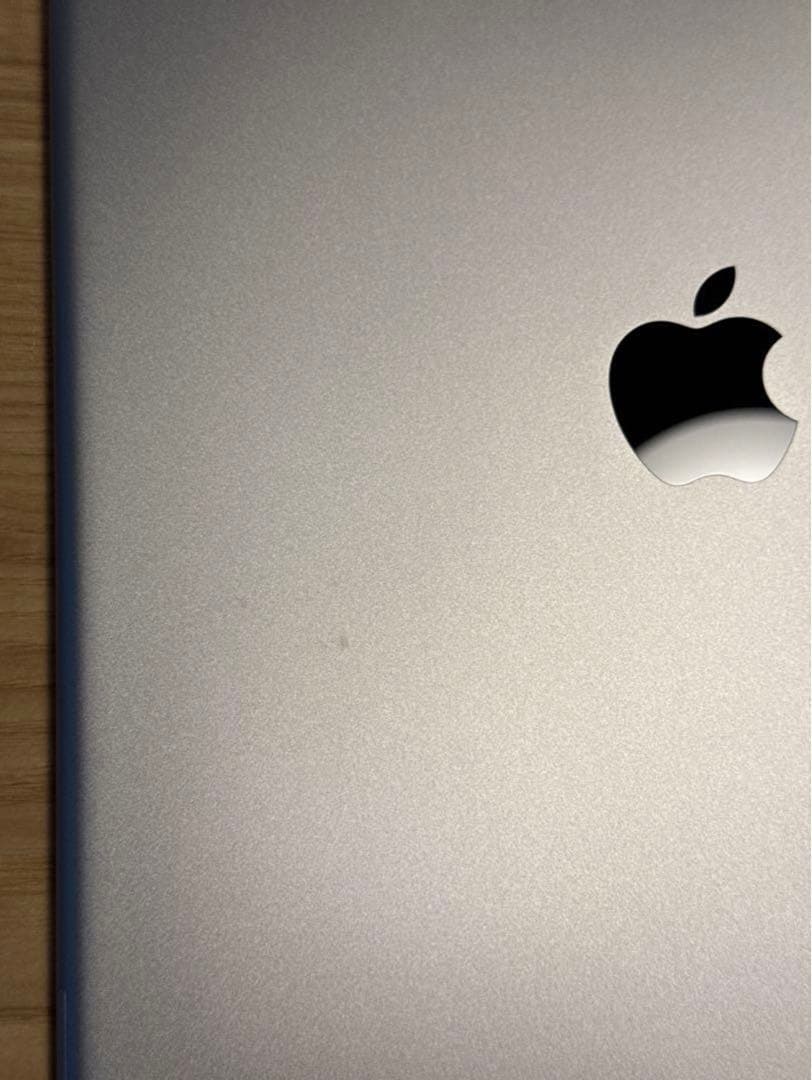 iPad Pro 12.9第2世代【512GB 89%】Wifi+SIMフリー