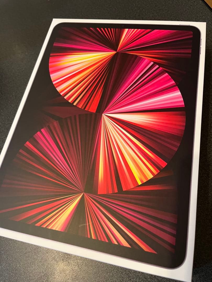 Angga Khaerul 専用　iPad Pro 純正iPadケース付き