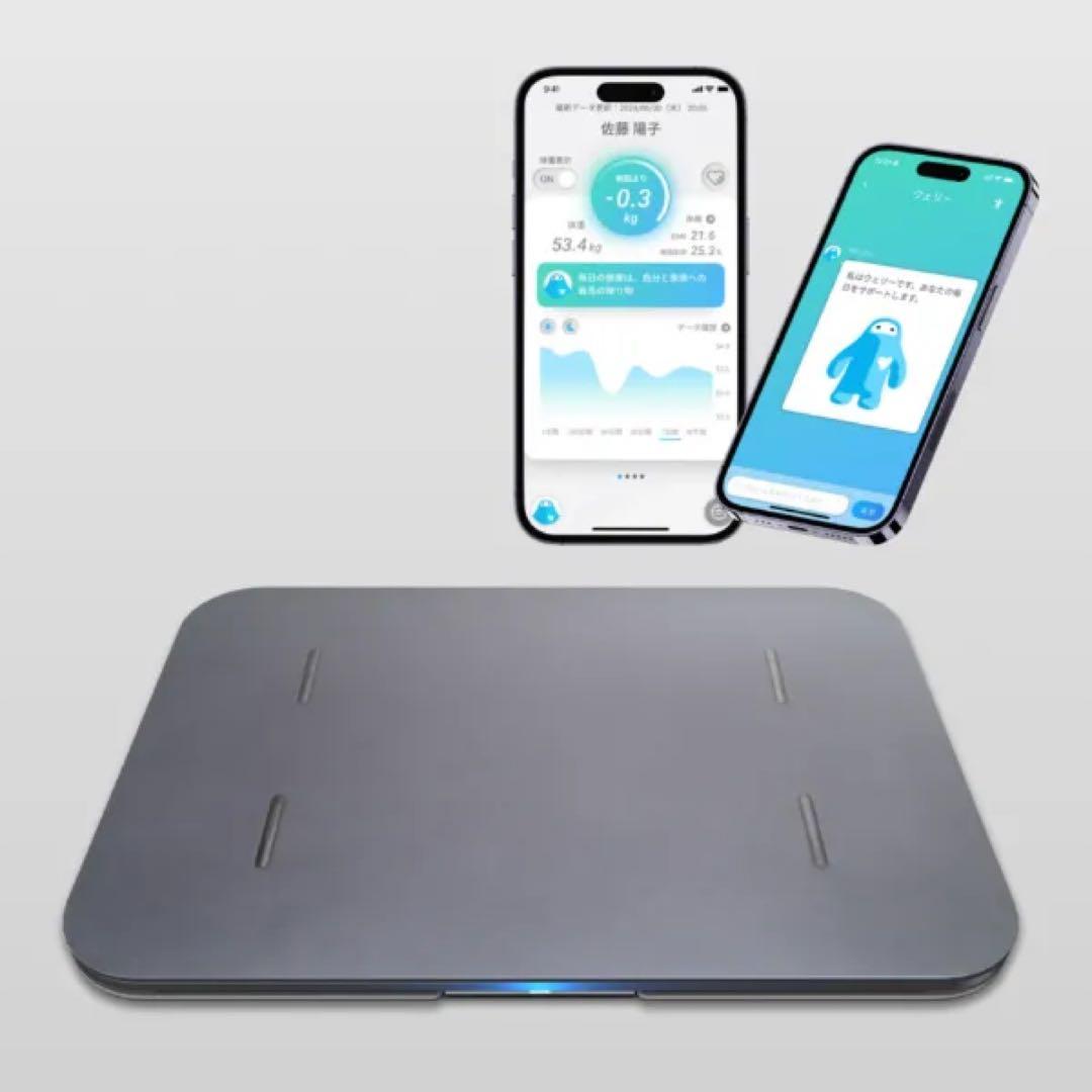 issin イッシン　スマートバスマット　体組成計モデル　2025年購入