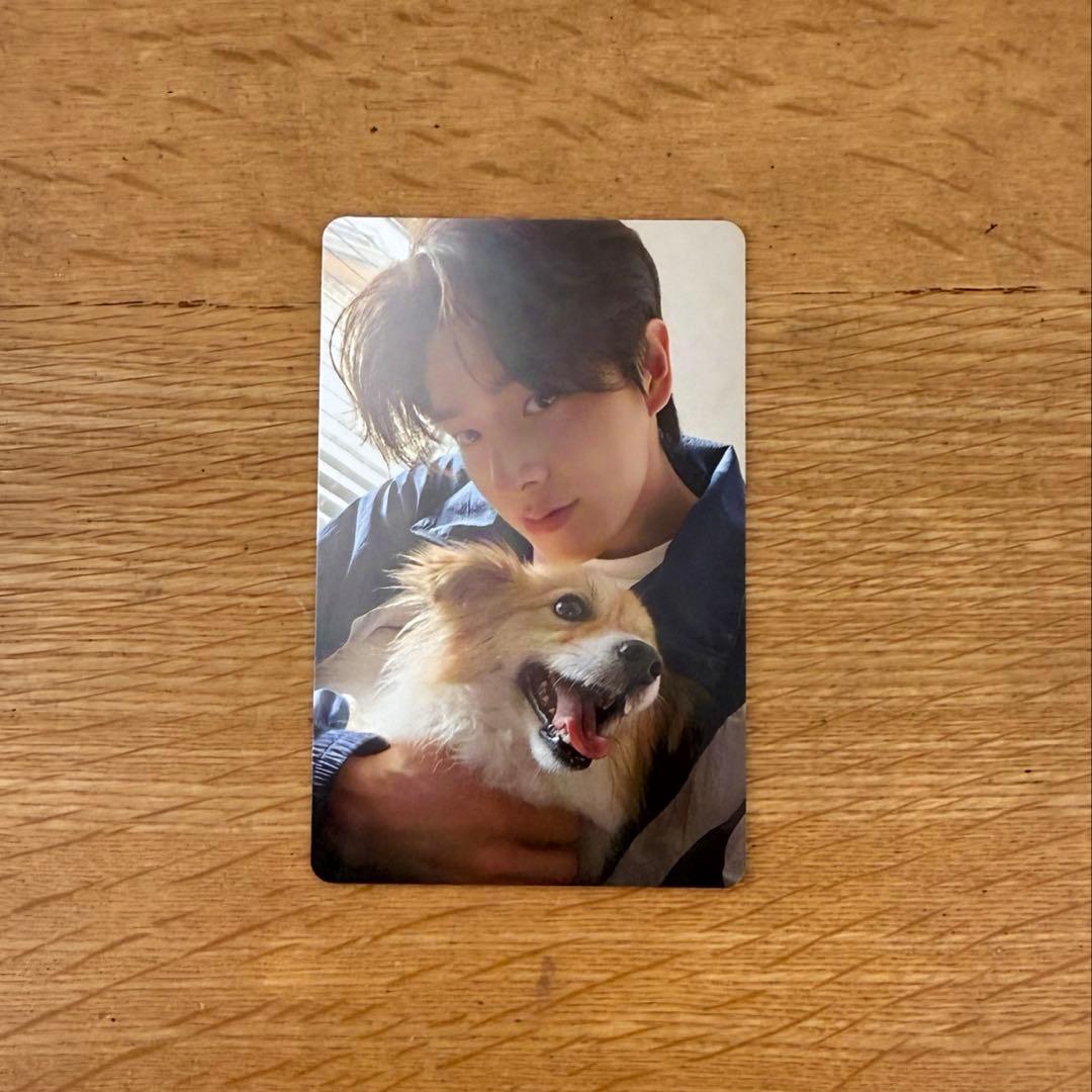 ENHYPEN エナプ アンケートトレ ジェイク jake 2025