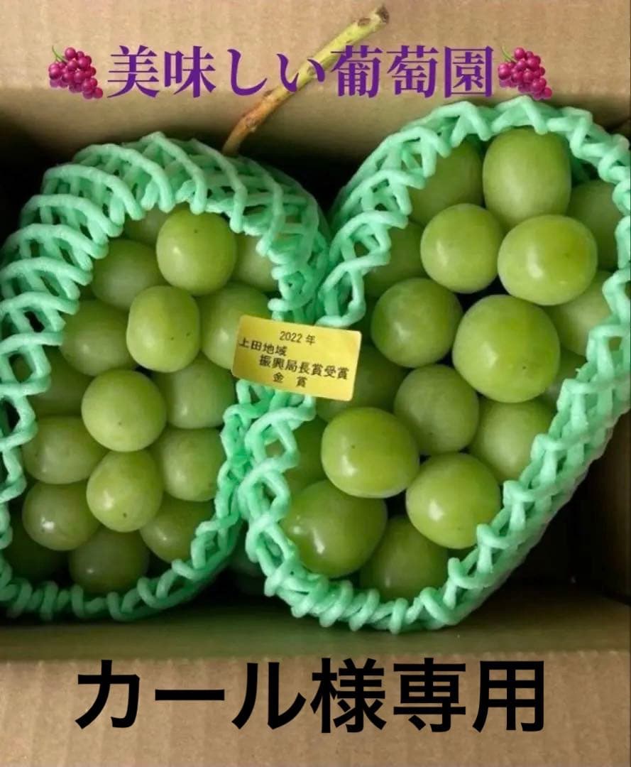 カール　シャインマスカット8房