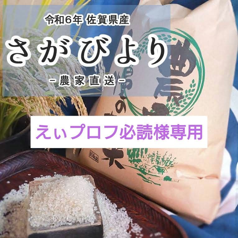 えぃプロフ必読　さがびより