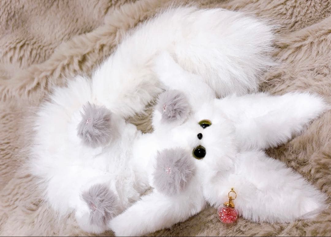 user_5816f61eページ