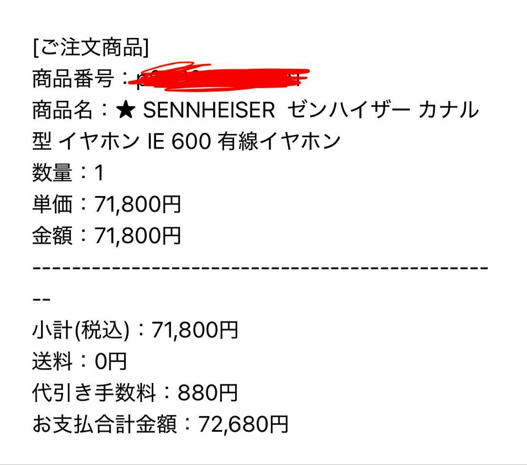 【訳アリ特価】Sennheiser IE 600 + 豪華セット