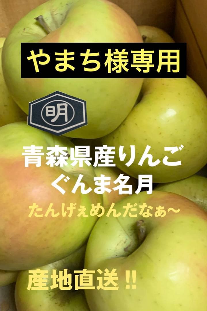 青森県産りんご【ぐんま名月】278家庭用15kg やまち