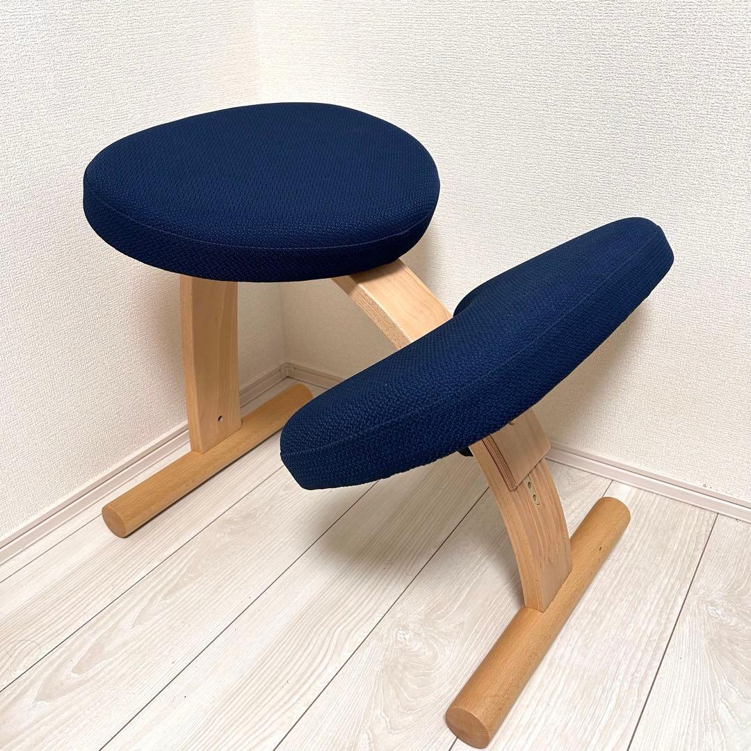 【極美品】 バランスイージー ネイビー　組み立て済