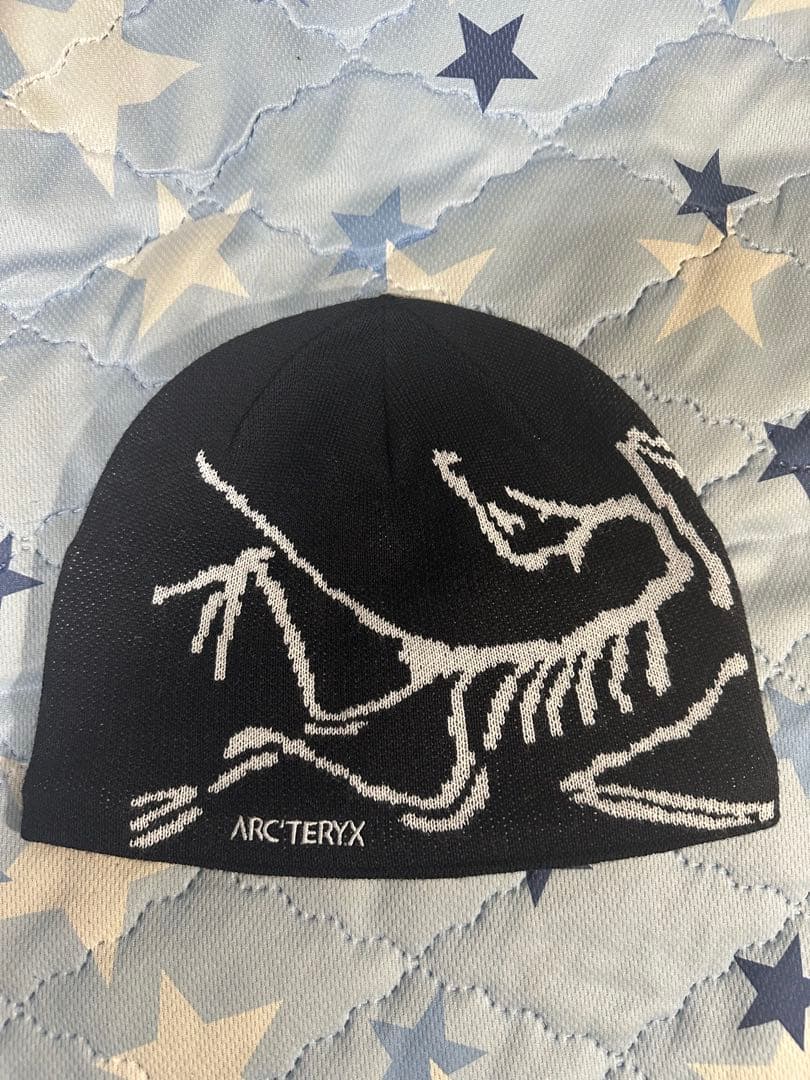 帽子 arc'teryx Bird Head Toque