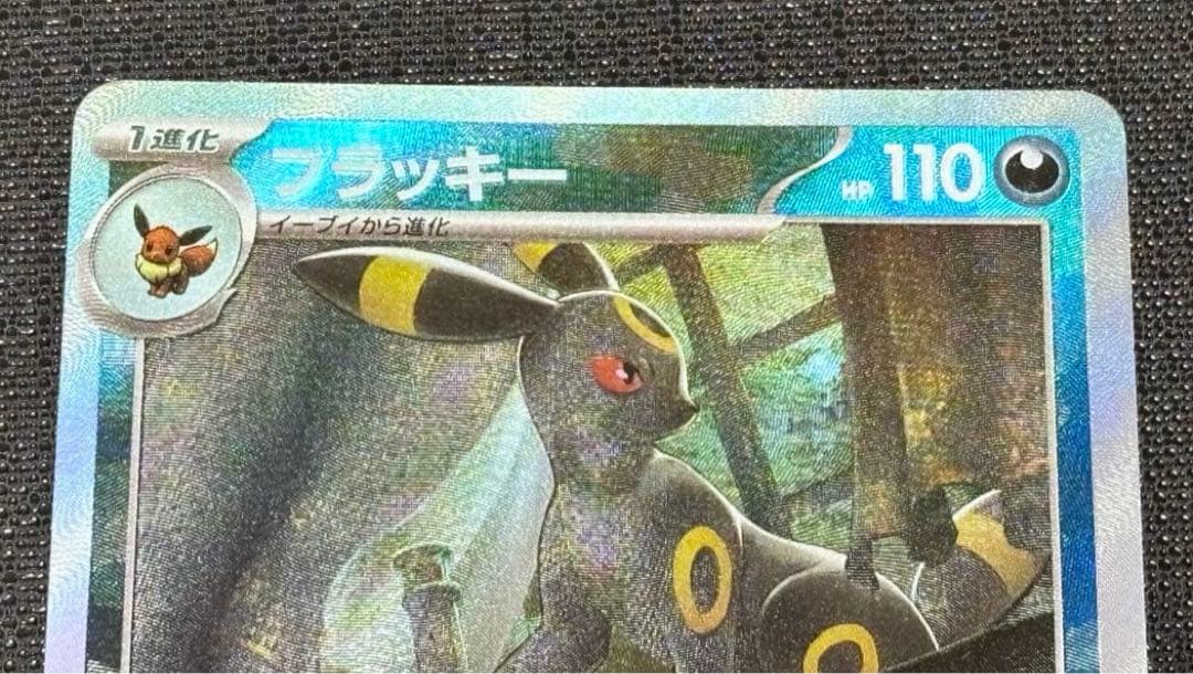 ブラッキー マスターボールミラー SV8a テラスタルフェスex 09