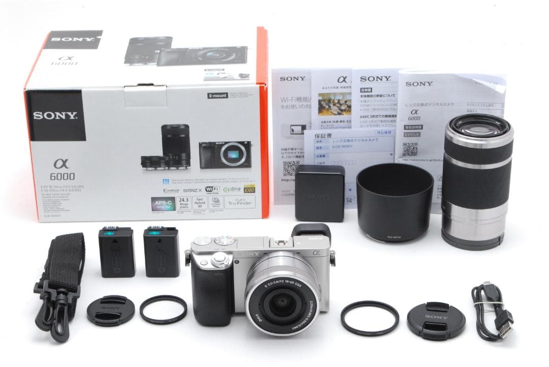 【美品】ソニー Sony α6000 ダブルレンズセット ILCE-6000Y