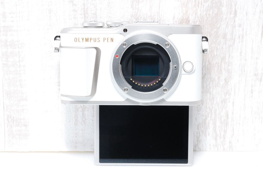 ✨超美品✨ショット数約1490回✨ダブルレンズ✨ OLYMPUS E-PL10