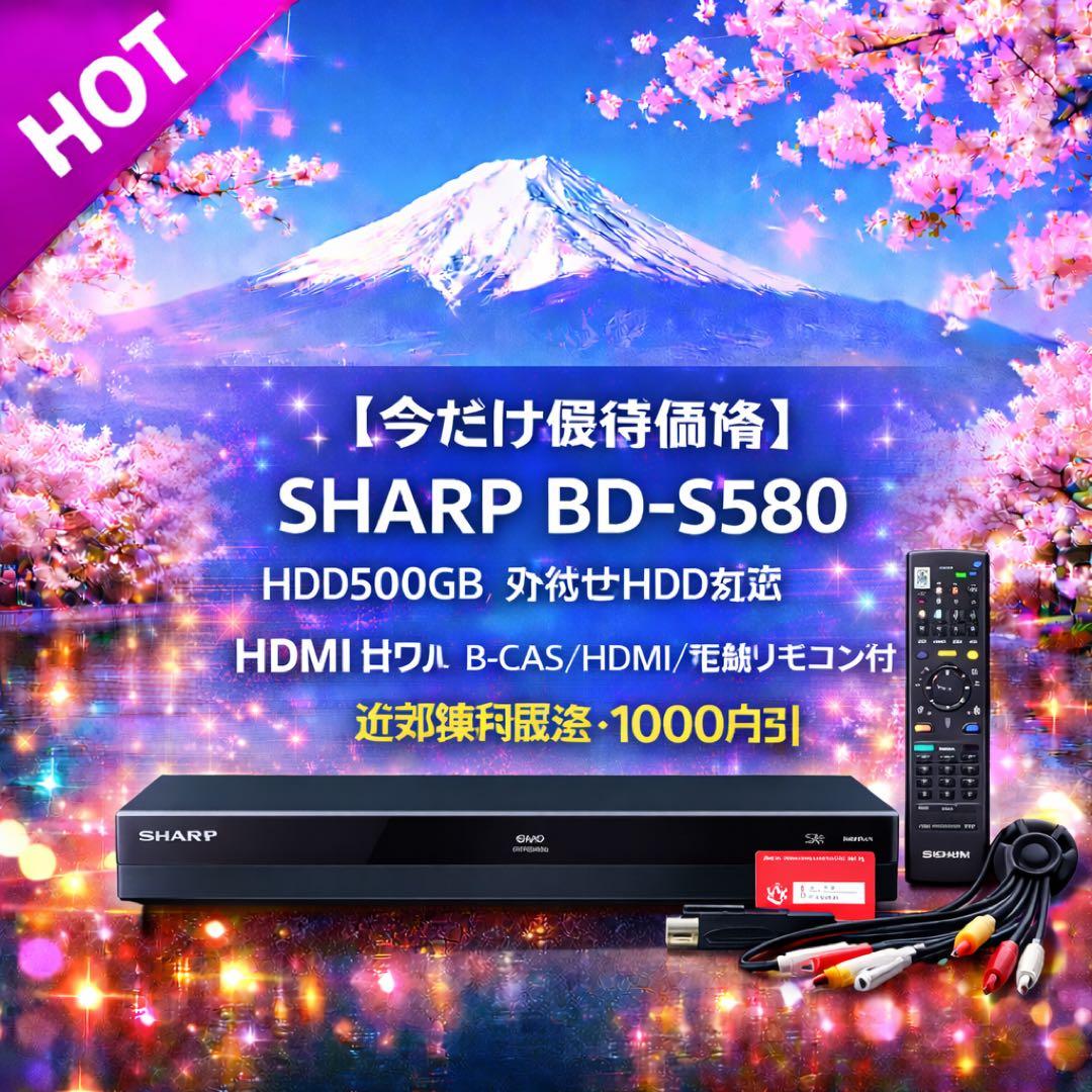 【今だけ優待価格】SHARP ｜HDD500GB｜外付けHDD対応｜HDMI出力