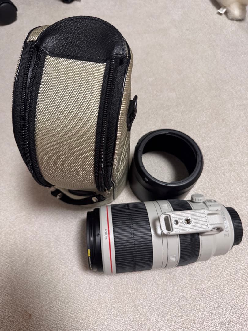 EF100-400mm f4.5-5.6L IS Ⅱ USM Canon