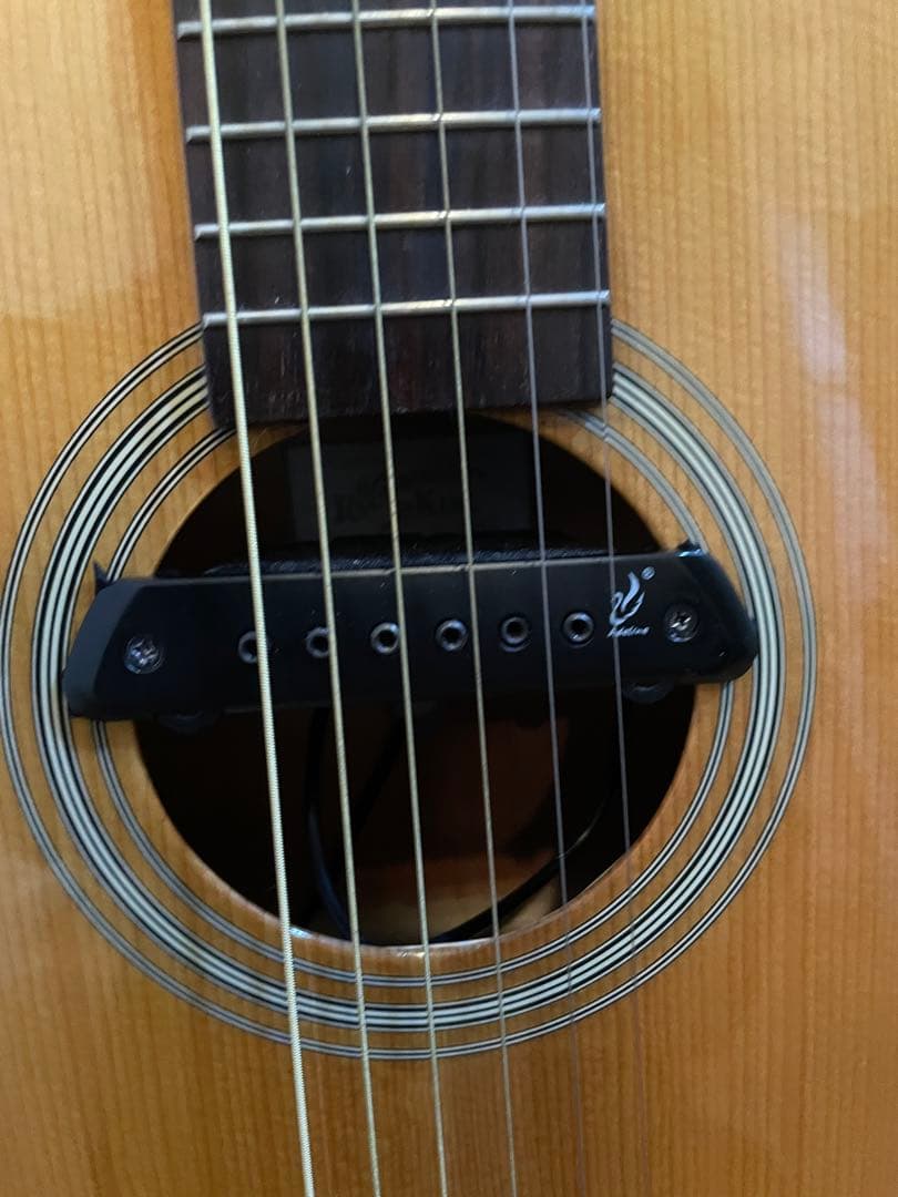 ギター Recording King RP1-16c / Adeline pickup