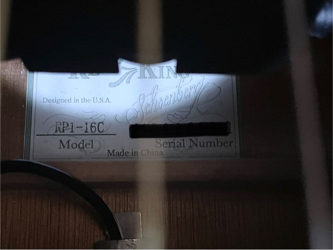 ギター Recording King RP1-16c / Adeline pickup